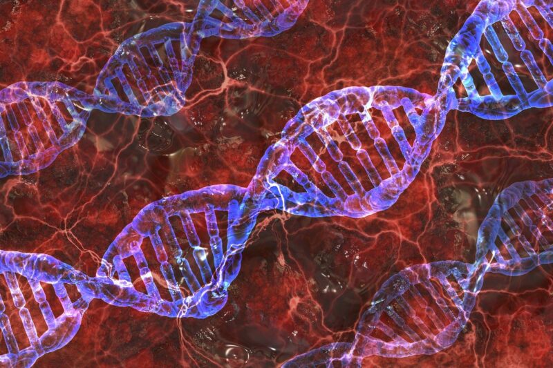 Ticket for IFHS Talk: A Beginner's Guide to DNA